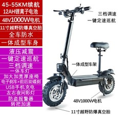 전동킥보드 전동 킥보드 성년 접이식자전거 11inch소형차 미니 배터리카, C01-48V, T01-48V/1000W/11inch공기주입타이어/방수