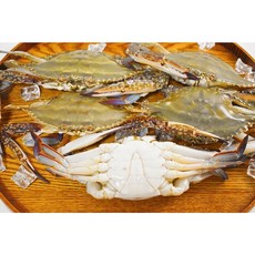 국내산 당일조업 꽃게 활숫꽃게 산지직송 1kg, 대1kg(4~5미), 1개