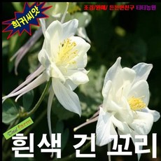 오장군의발톱