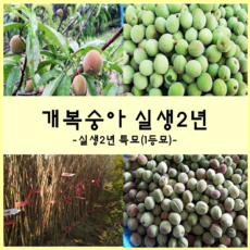 e12ddf8278c000029a429fc4169940ac88ac7ae5688fa64c5b5301f95a4b.png
