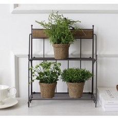 메모리얼장식장