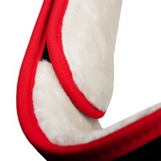 wwe챔피언벨트