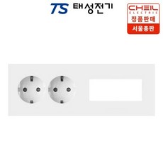 태성전기 제일전기 디노 통합수구 가로형 콘센트2구 좌타입, 1개