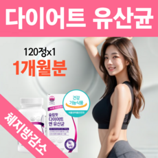 bnr17 유산균 다이어트 비에날씬 l 슬림핏 다이어트 엔 유산균 식약청 인증 체지방감소 장건강 프로바이오틱스, 1개, 120정