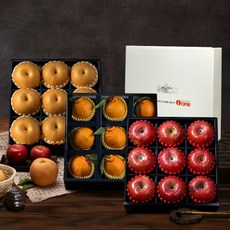 [산과들애] 실속 사과2.5kg+신고배5kg+한라봉3kg 특선세트, 단품