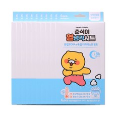 해호 춘식이 열냉각시트 6매입, 10개