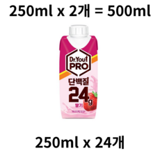 닥터유 프로 단백질 딸기 프로틴음료 250ml x 12개, 500ml