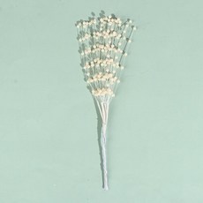 비즈와이어코사지