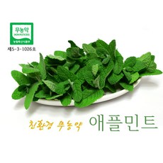 [삼현농장] 친환경 무농약 생허브 애플민트 150g / 당일수확발송 (오전10시 주문분까지)