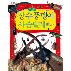 빅움직이는사슴벌레