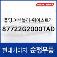 몰딩-웨이스트라인 프론트 도어 우측 (87712G2000TAD) 아이오닉 하이브리드, 1개