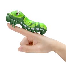 호랑나비애벌레