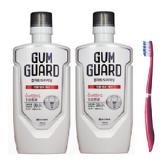 가그린 검가드 가글 잇몸건강 구강청결제, 2개, 750ml