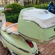 Peugeot Jiang Ge Django150 오토바이 리어 테일 박스 스쿠터 테일 박스 레트로 스토리지 박스 테일 프레임에 적합, 민트 그린+화이트