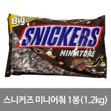 스니커즈 미니어쳐 1.21kg, 1개, 1.21g