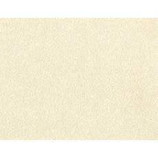 에덴바이오 (참솔벽지)천연 공기정화기능 편안함 2852(2822)
