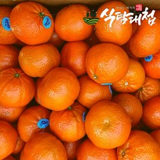 식탐대첩 미국 만다린 감귤 오렌지 9kg