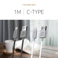 [TEMPLER] 템플러 C타입 To USB 고속케이블 1M [TEM-D19-100-CP], 화이트