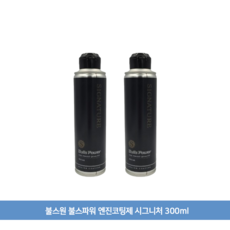 불스원 불스파워 엔진코팅제 시그니처 300ml (사은품증정), 공용, 2개