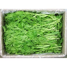 쑥갓 1Kg, 1개