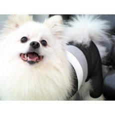 강아지옷뜨개질방법