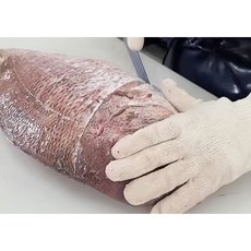 국내산 참돔회 도미 필렛 숙성회 1kg 2kg, 1개