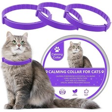 Wustentre 고양이를 위한 카밍 칼라 3팩 고양이 카밍 칼라 천연 고양이 페로몬 카밍 칼라 조절 가능한 고양이 불안감 해소용 칼라 (블루), Purple