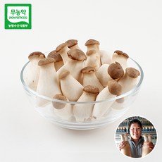 [감동] 전남 나수연님의 무농약 새송이 버섯, 1box, 미니 1kg(조림용)