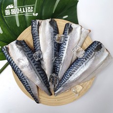 통통포