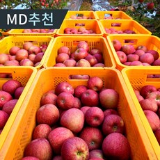 [23년 첫 수확] 햇 부사 사과 고당도 가정용 꿀사과, 1개, 4.5kg 중과(16-18과)