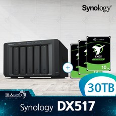 시놀로지 DX517 30TB (10TB x 3) 씨게이트 EXOS 5년 보증