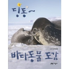 딩동~ 바다동물 도감:, 지성사