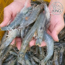 경남고성새우
