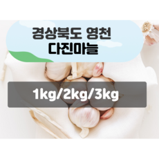 국내산 영천 다진마늘 1kg 2kg 3kg, 1개