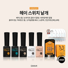 헤이스위치젤