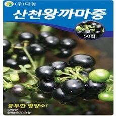 왕까마중