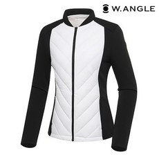 와이드앵글스윙다운