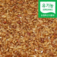 직송 2022년 햅쌀 국산 유기농 갈색 가바현미 4kg 가바쌀