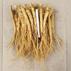 금산인삼 소삼계 750g 40-70뿌리 튀김용 삼계탕용 갈비탕용, 750g(세척), 1개