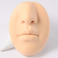 실리콘입술모형