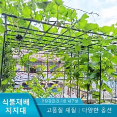 스마트셀링제이 포도나무 오이 지지대 방울토마토 옥상 넝쿨 파이프, 7. 150x180x210cm, 1. 지주대, 1개