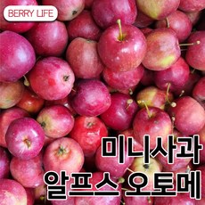 산사과