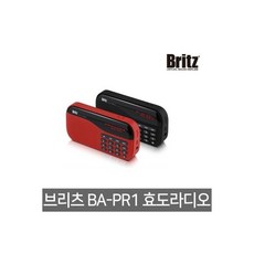 브리츠ba-pr1