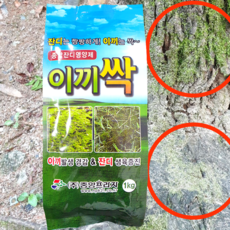 [시골생활 비료] 잔디 산소 이끼 제거제 (알갱이) 이끼싹 1kg 직접실험 묘지 산소 화분 마당 하우스 고랑 골프장 인삼 사과 청태 과수 이끼 벌초 성묘 예초 잔디 영양제 비료, 1개