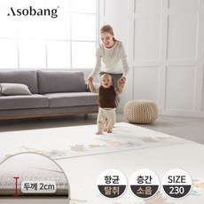 아소방230