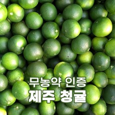 청귤 TOP01
