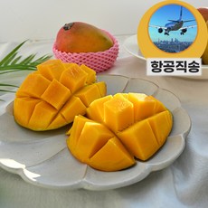 대만망고