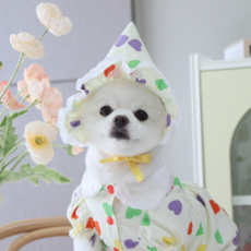 이쁘댕