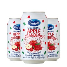 오션스프레이 스파클링 애플 크랜베리 캔 OceanSpray 340mlX24(CAN), 340ml, 24개