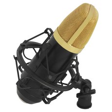 루루살롱 HL20 방송 골드 콘덴서 K노래 부품, 블랙